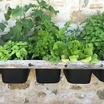 San Carlo A La Molinella Casa rural *