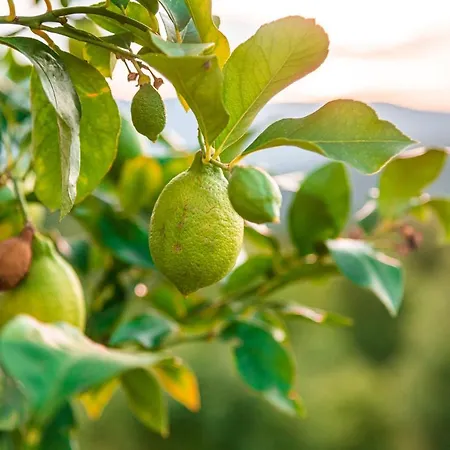 Hétvégi ház San Carlo A La Molinella