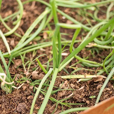 San Carlo A La Molinella منزل ريفي Città della Pieve