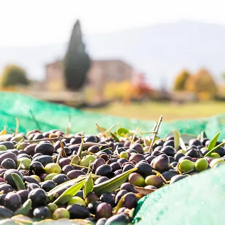 San Carlo A La Molinella * Citta della Pieve