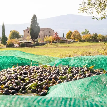 San Carlo A La Molinella * Citta della Pieve
