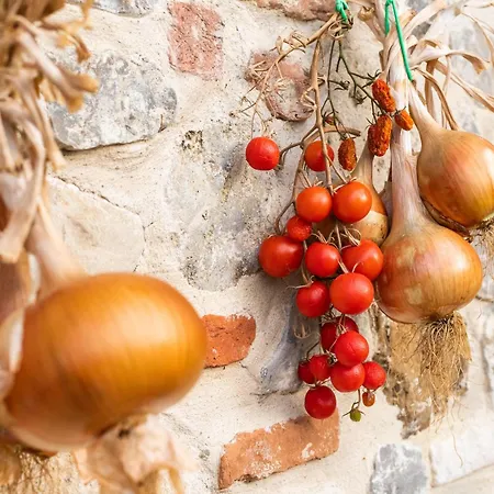 San Carlo A La Molinella Hétvégi ház