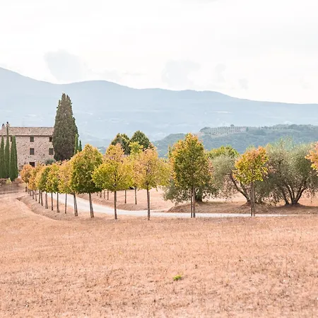 San Carlo Molinella *
