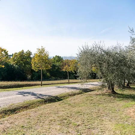 San Carlo A La Molinella Città della Pieve