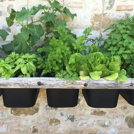 San Carlo A La Molinella Hétvégi ház *