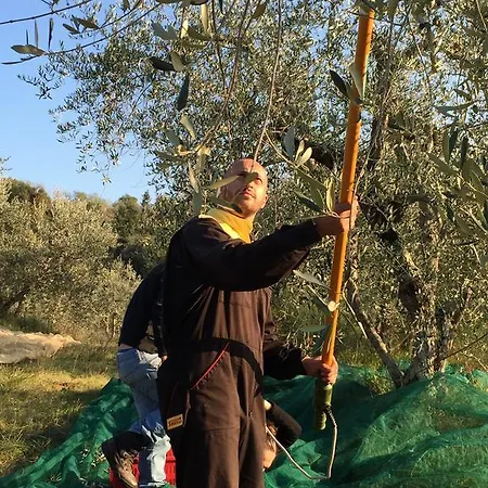 בית כפרי San Carlo Molinella Città della Pieve