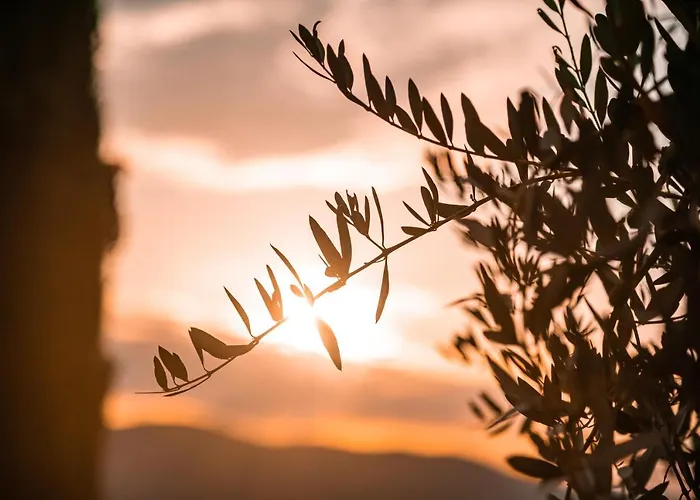 San Carlo A La Molinella