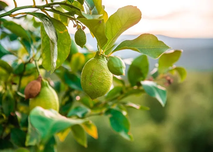 Casa rural San Carlo A La Molinella