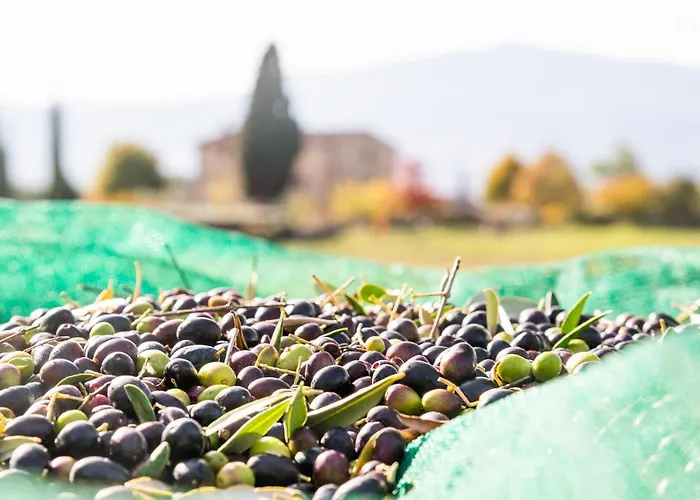 San Carlo A La Molinella * Città della Pieve