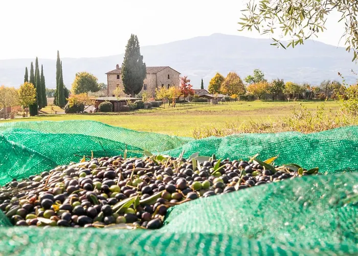 San Carlo A La Molinella * Città della Pieve