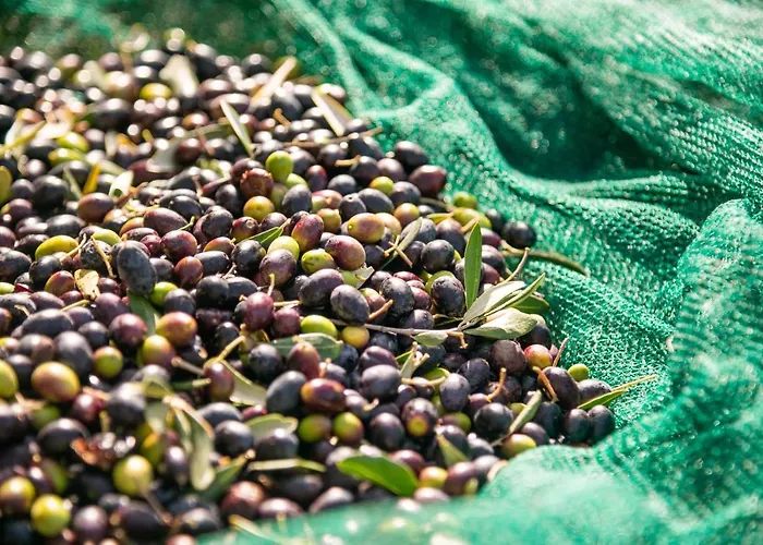 Casa rural San Carlo A La Molinella Città della Pieve