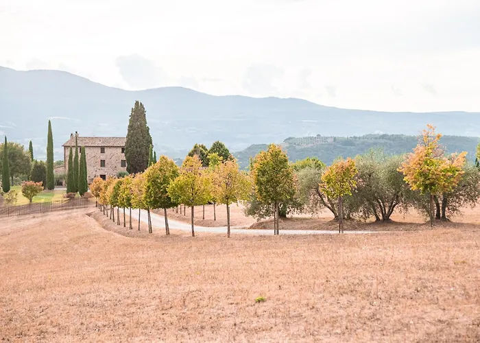 San Carlo A La Molinella *