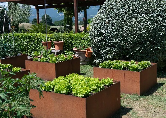 San Carlo A La Molinella Casa rural