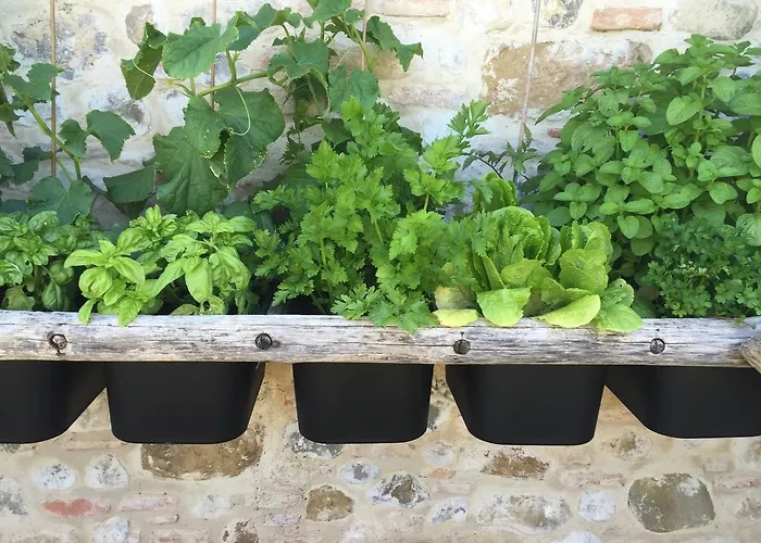 San Carlo A La Molinella Casa rural *