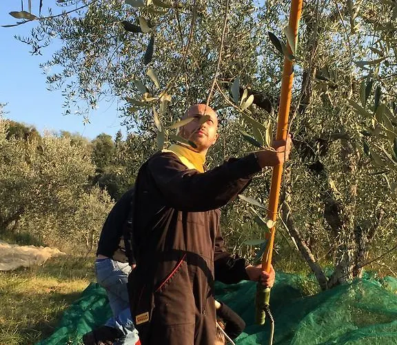 Casa rural San Carlo A La Molinella Città della Pieve