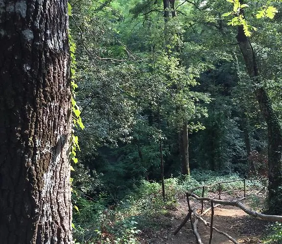 San Carlo A La Molinella Casa rural *